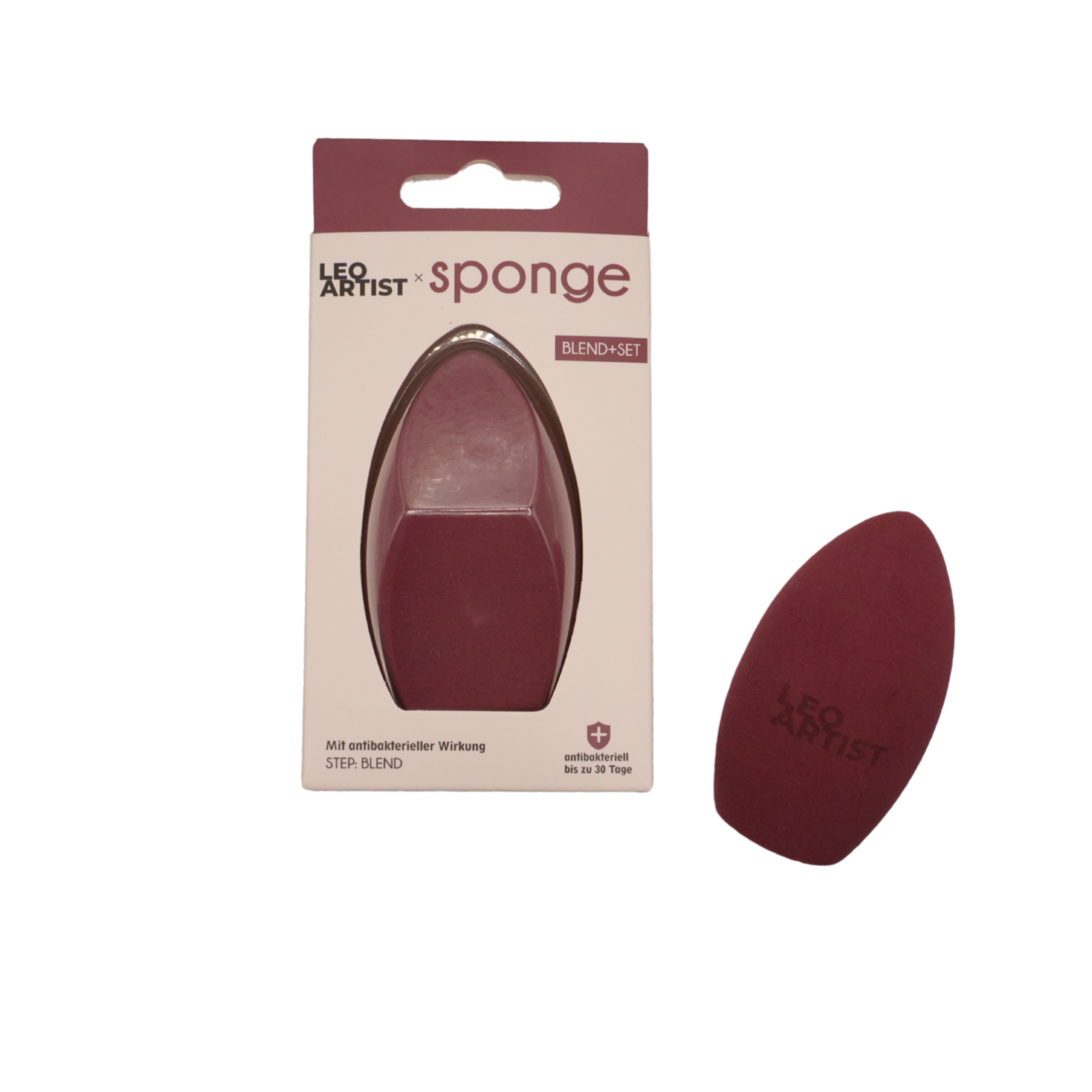 Pinselset & Sponge